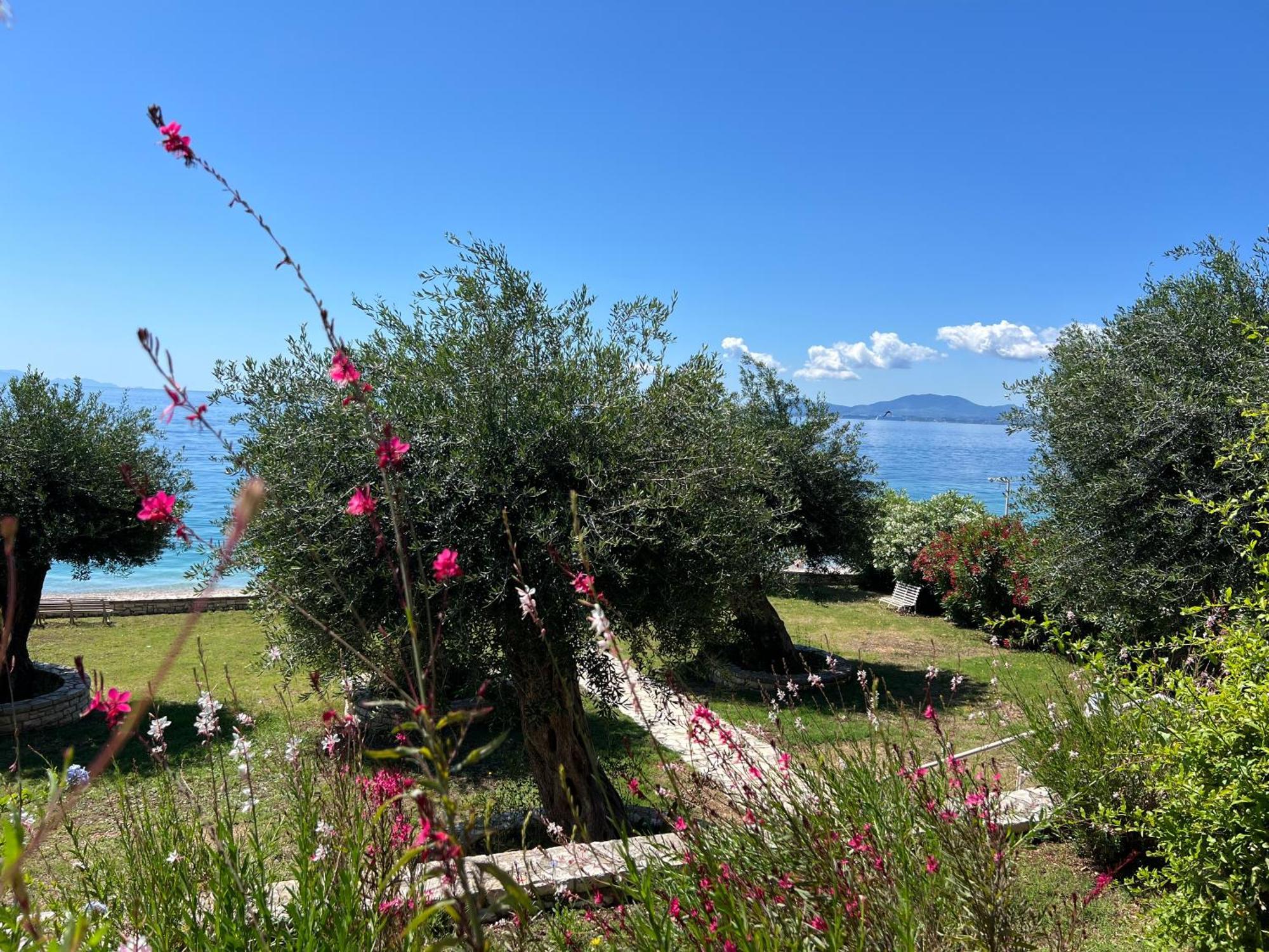 Apartmán Nissaki Bay Nisaki  Exteriér fotografie